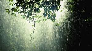 rain